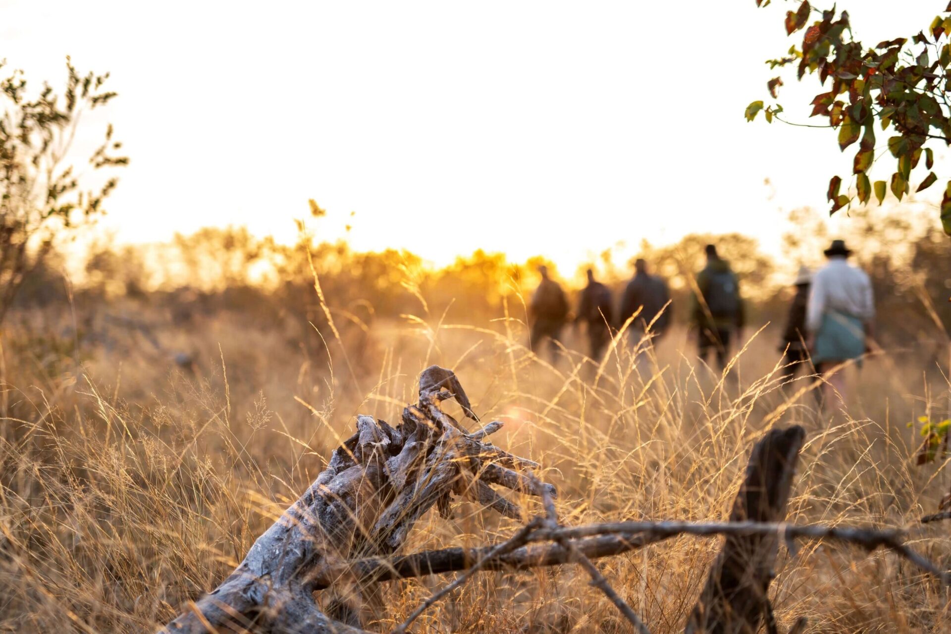 Kruger Sunset walk