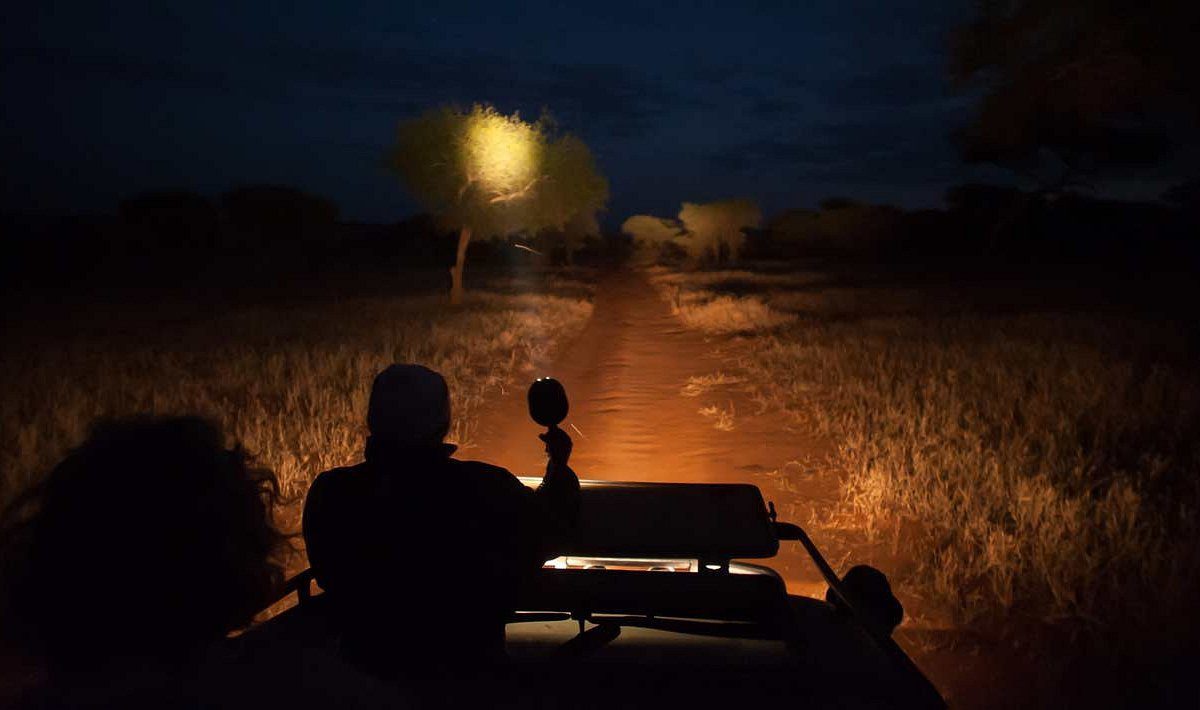 Kruger Night safari
